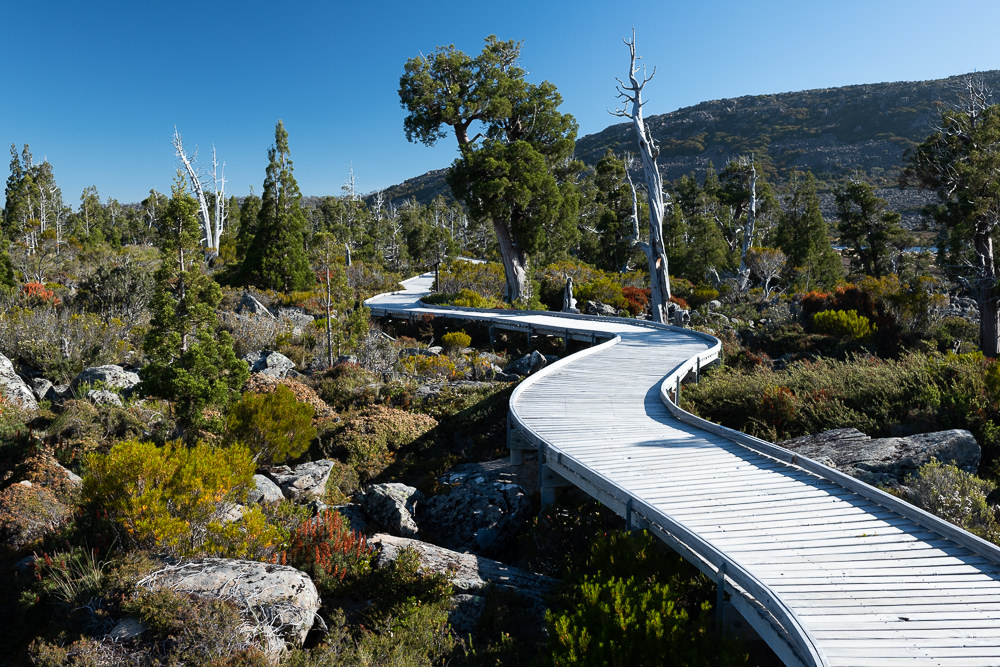 Pine Lake boardwalk in the Great Western Tiers. Photo: Jade Hallam